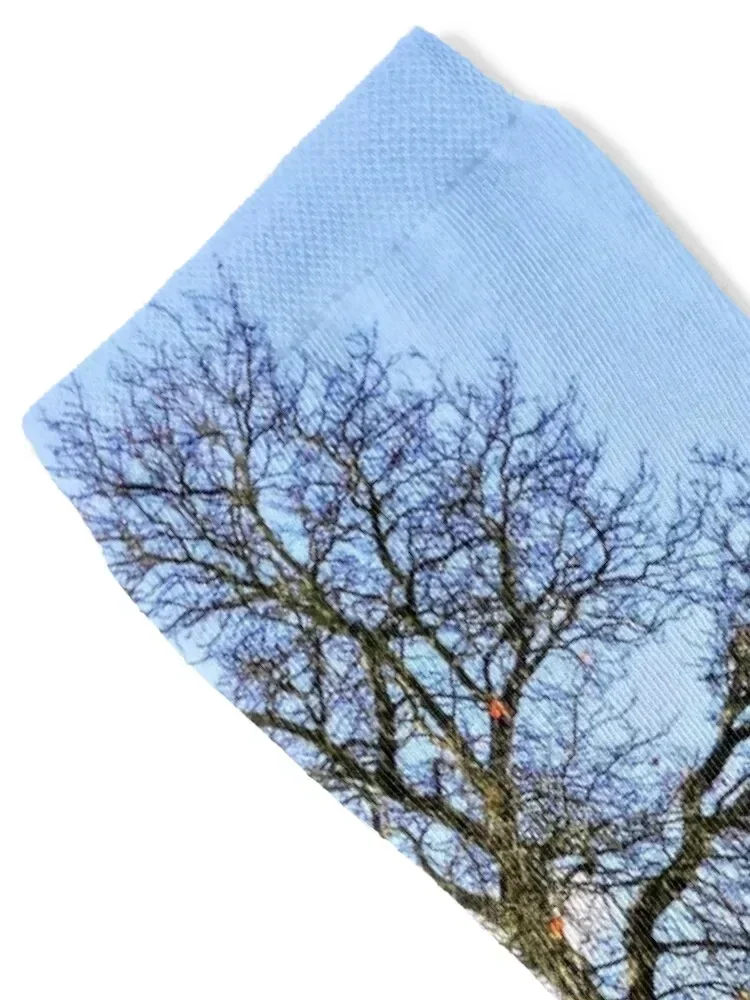 Landscape & Architecture Socks – Women'S Shoes For Crews Bewertung und Preis