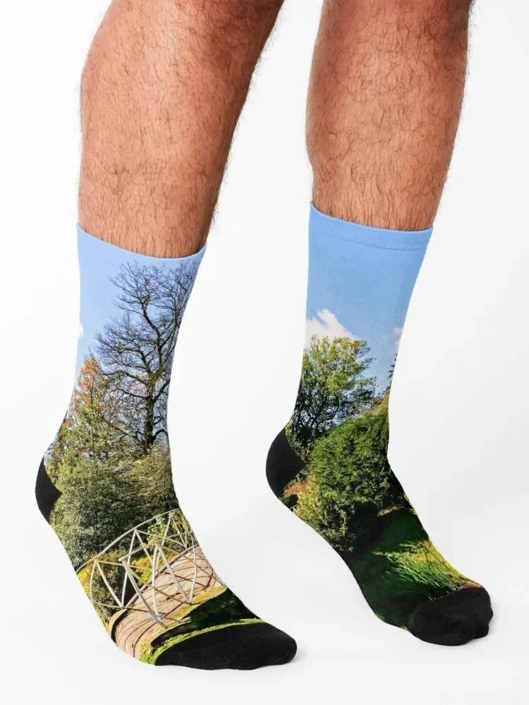 Landscape & Architecture Socks – Women'S Shoes For Crews Bewertung und Preis