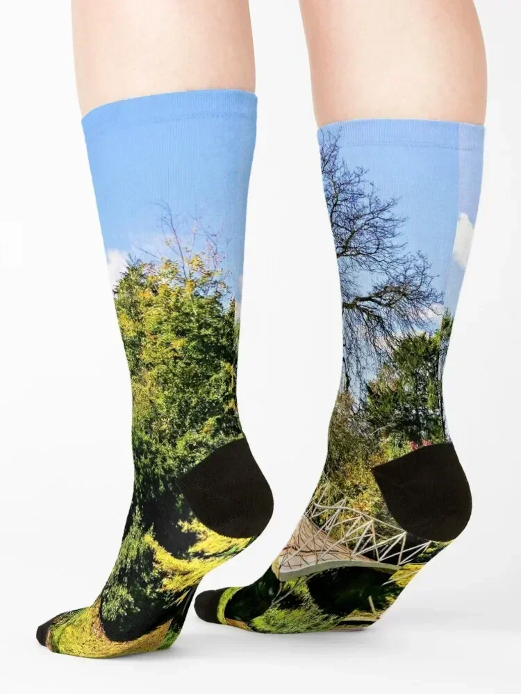Landscape & Architecture Socks – Women'S Shoes For Crews Bewertung und Preis