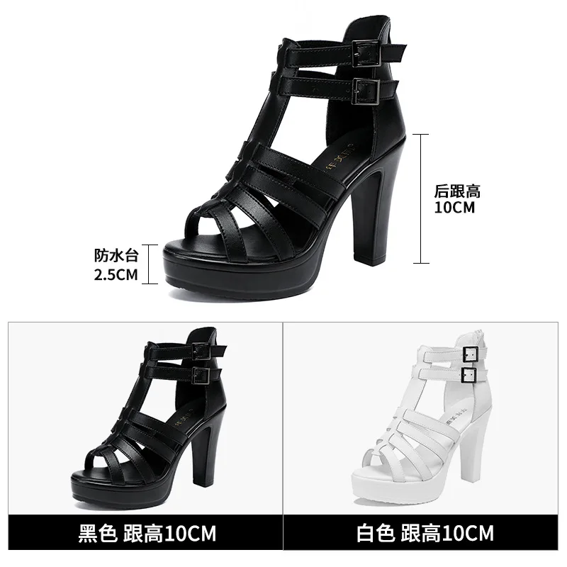 Gladiator Ladies Shoe for Wome – Peep Toe Heels Bewertung und Preis